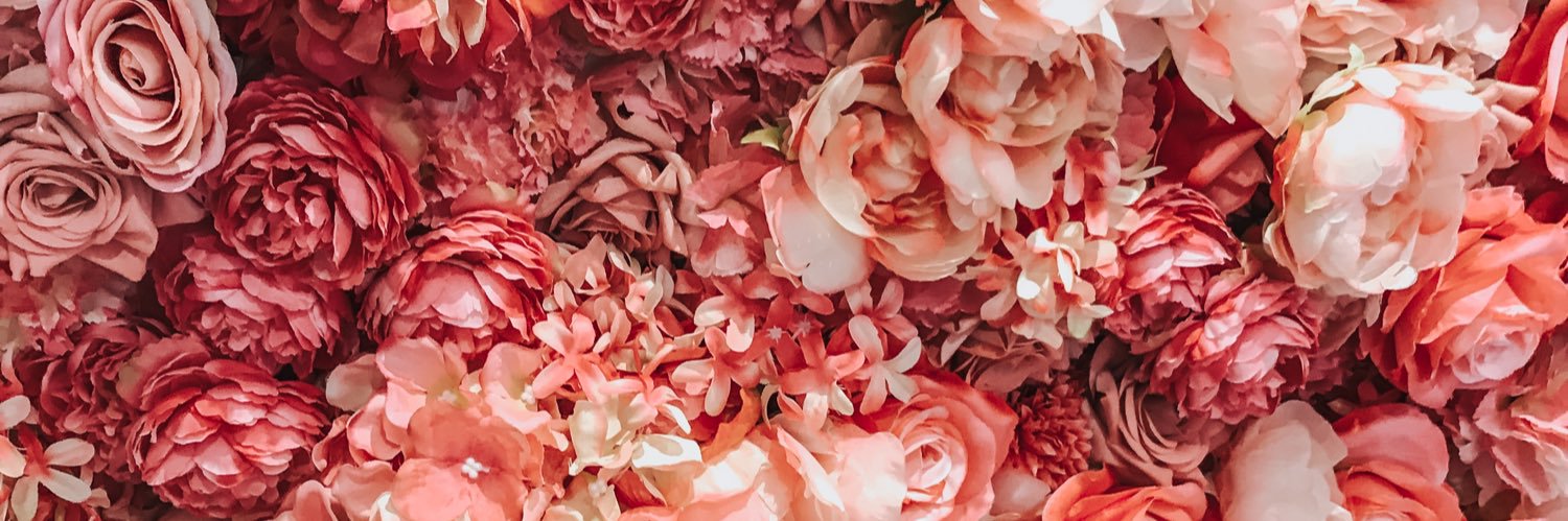 MarieRoseTwins's profile banner image