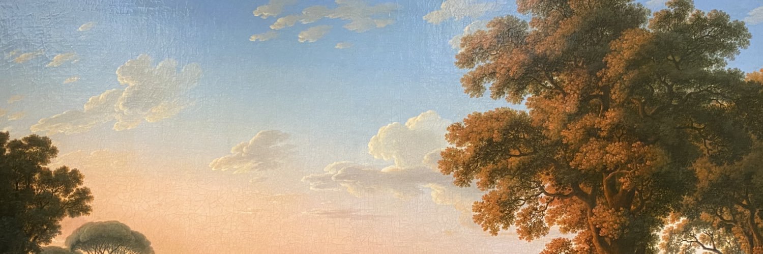 laurafer95's profile banner image
