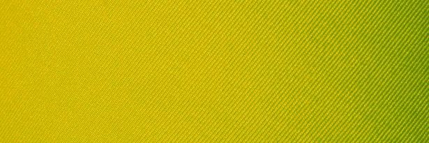 Le_Zeste's profile banner image