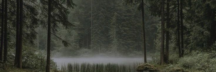 AuroraThing's profile banner image