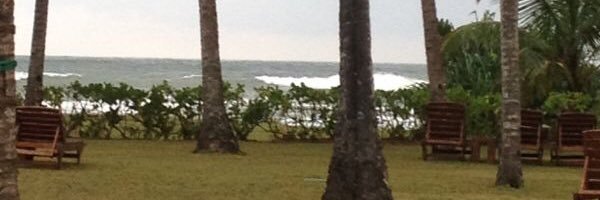 Rayedrd's profile banner image