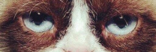 ja_6_6's profile banner image