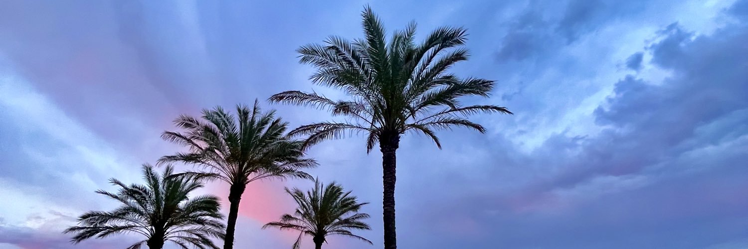 Moni98_Atm's profile banner image