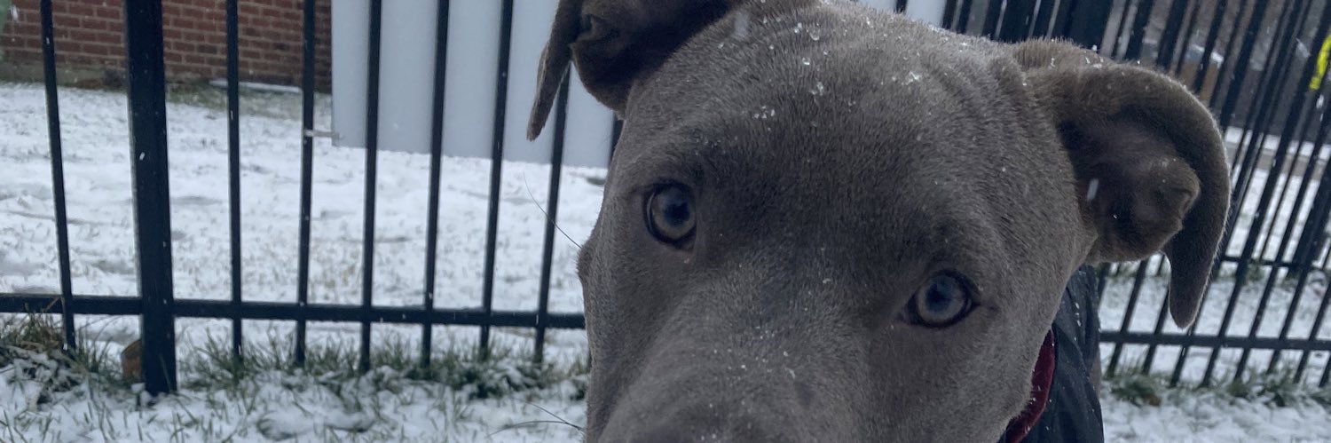 ChrisSanft's profile banner image