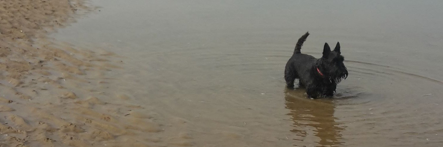 SarahLou277's profile banner image