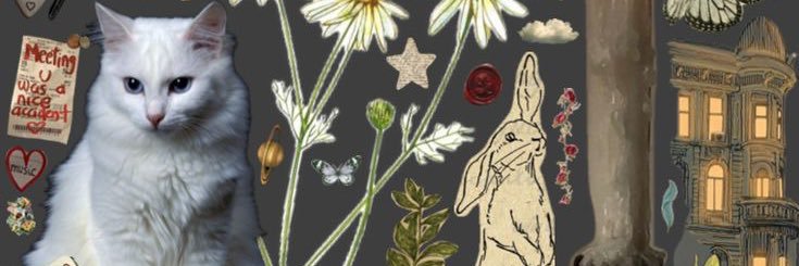 MelunaFlowers's profile banner image