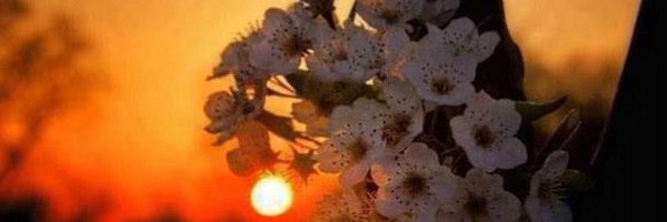 IamDeJonae Profile Banner