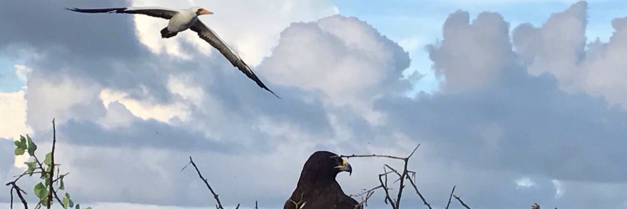 ppccamacho's profile banner image