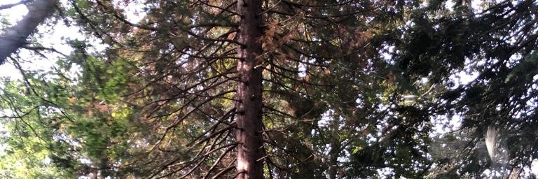anacc_s's profile banner image