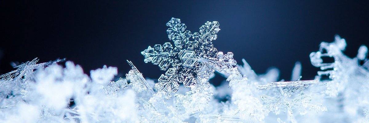 VictoriaFuyu's profile banner image