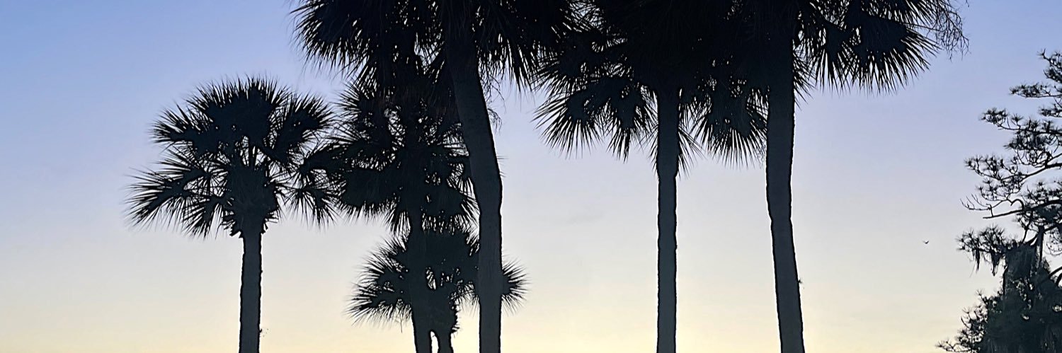 Zoe_Carlson's profile banner image