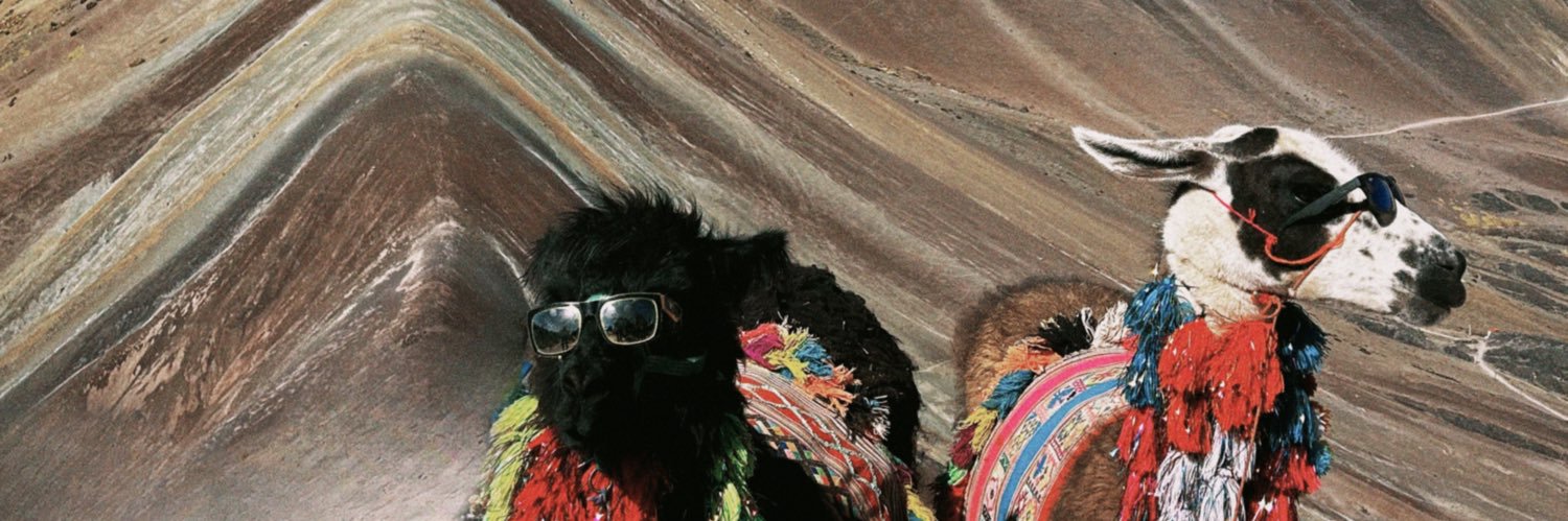 fernandaamrm's profile banner image