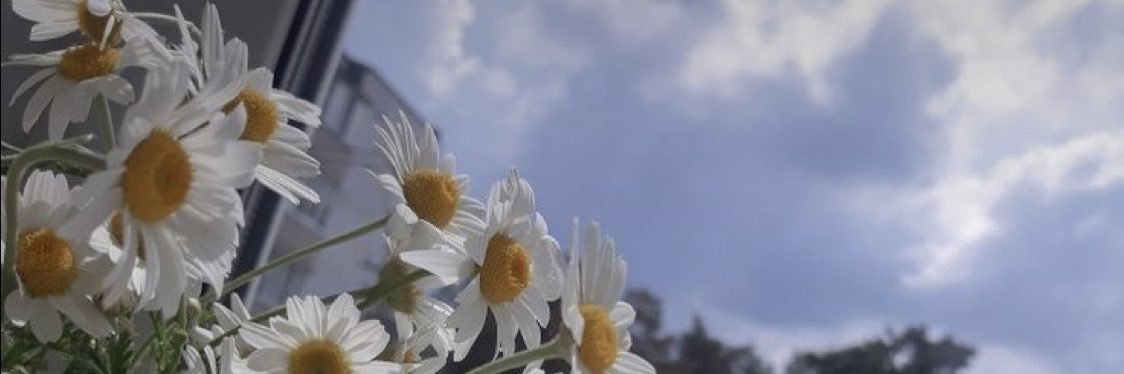 Shei5anyy's profile banner image