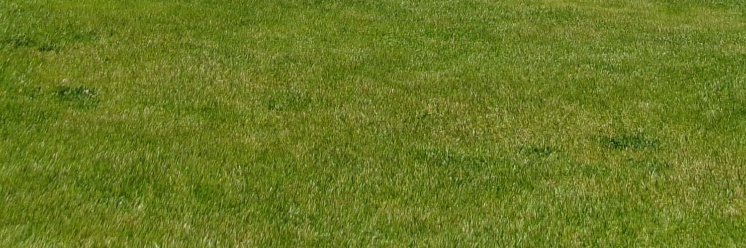 elzxa2's profile banner image