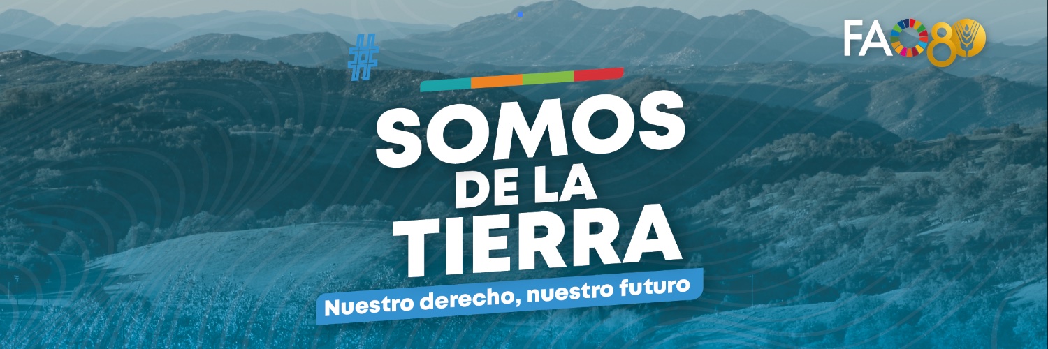 go2comunica's profile banner image
