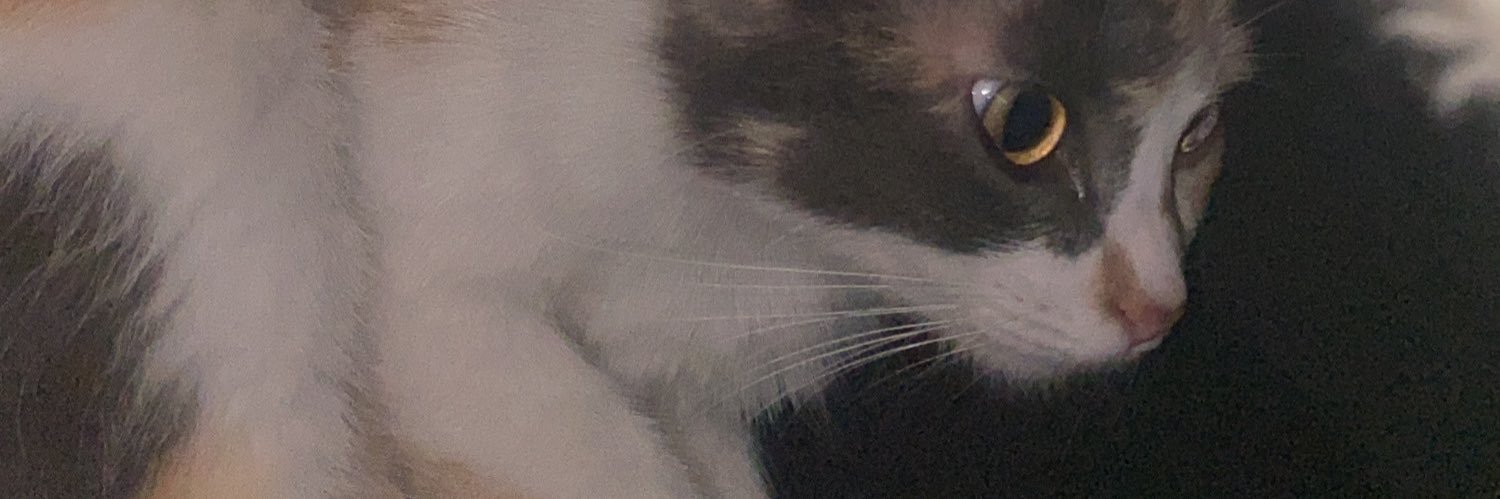 mpawelski_'s profile banner image