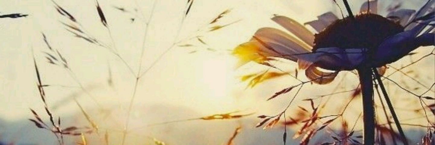 buoliv's profile banner image