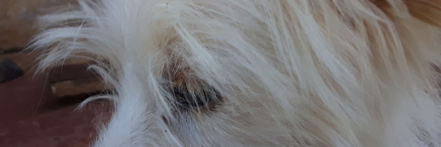 wrichx's profile banner image