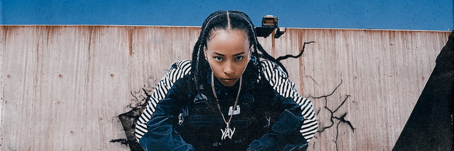 ELLESMOCA's profile banner image