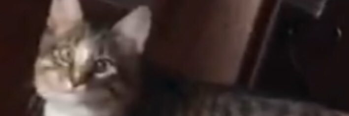 hiiiAkc's profile banner image
