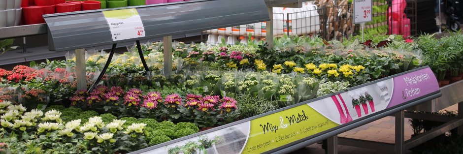 miniplanten's profile banner image
