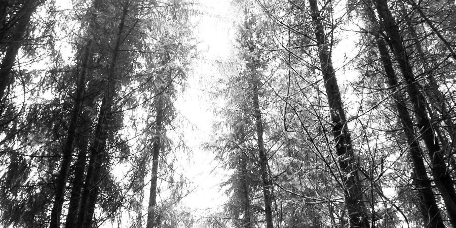 metalcurro's profile banner image