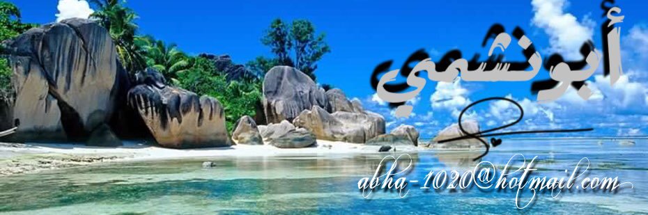 abha_1020's profile banner image