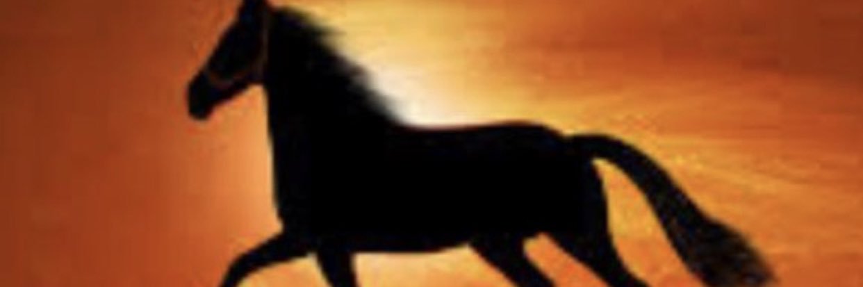AMottalib's profile banner image