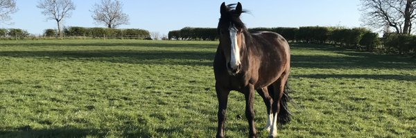 HelenSnell_ Profile Banner