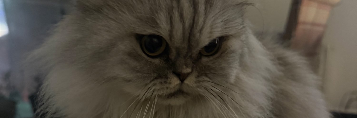 melushed's profile banner image