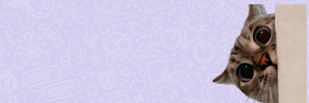 DianaQnes's profile banner image