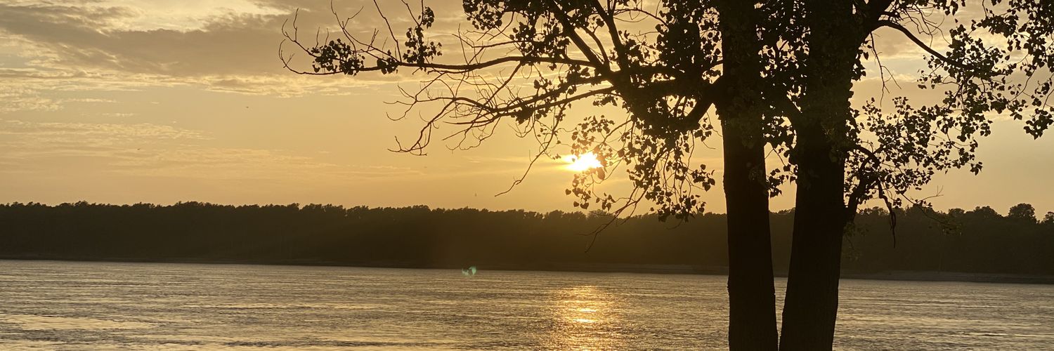 Roberto Gallardo banner