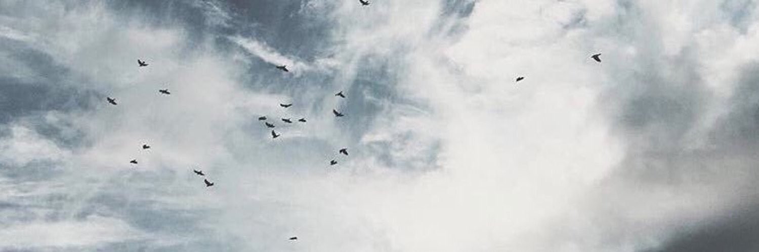 Asrars3eed's profile banner image