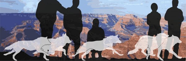 GCWolfRecovery Profile Banner