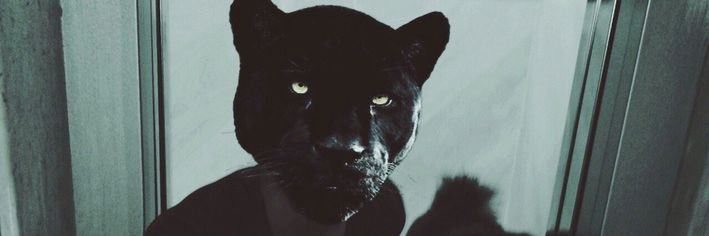 K_h_08's profile banner image