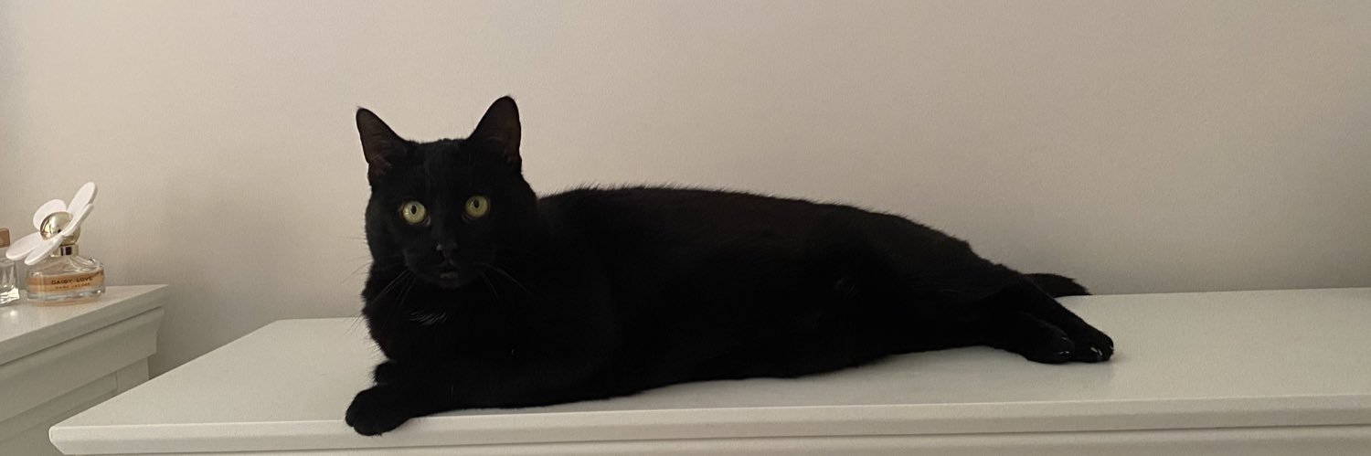 CatsPyjamas_'s profile banner image