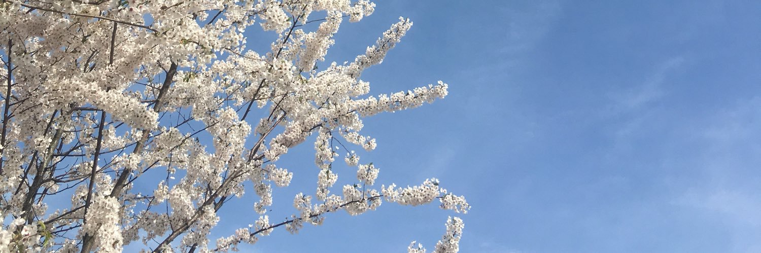 meierjulia2's profile banner image