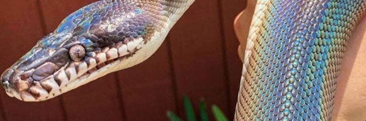 ecemilerii's profile banner image