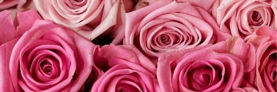 __Melaninn's profile banner image