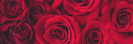 aandro98's profile banner image