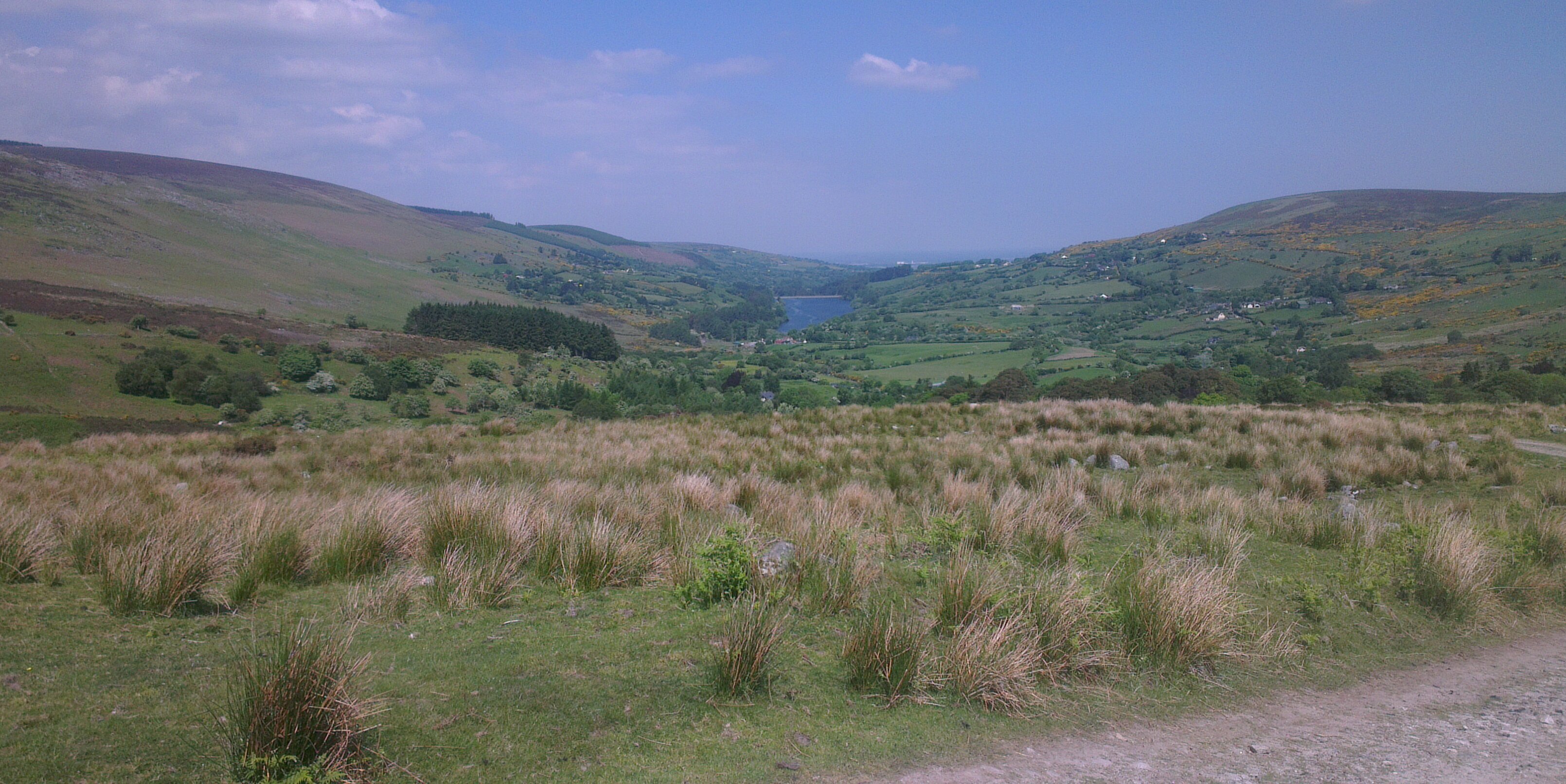 colm_jones's profile banner image