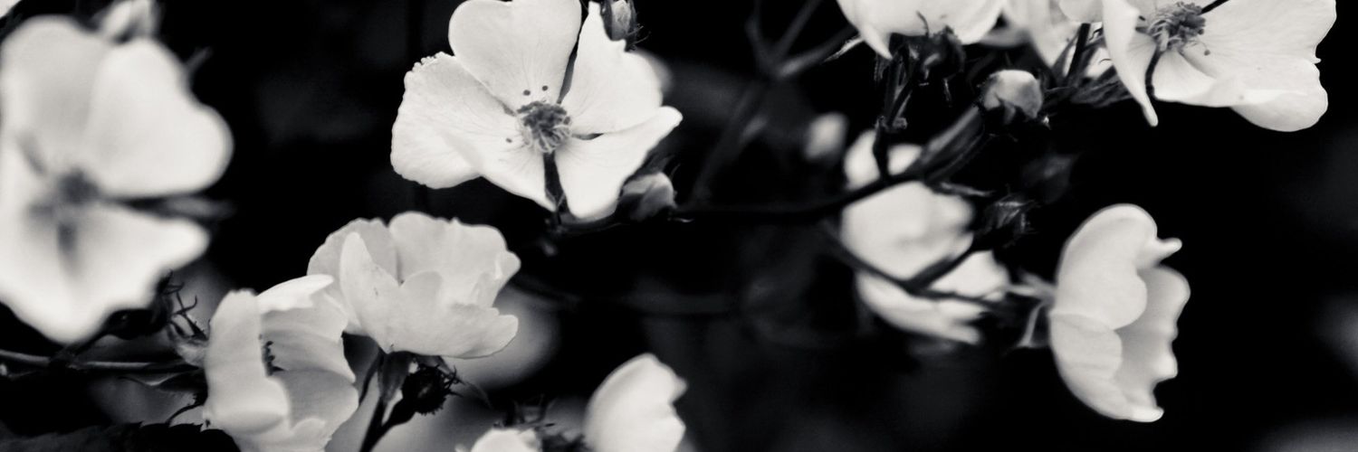 yaspersen's profile banner image