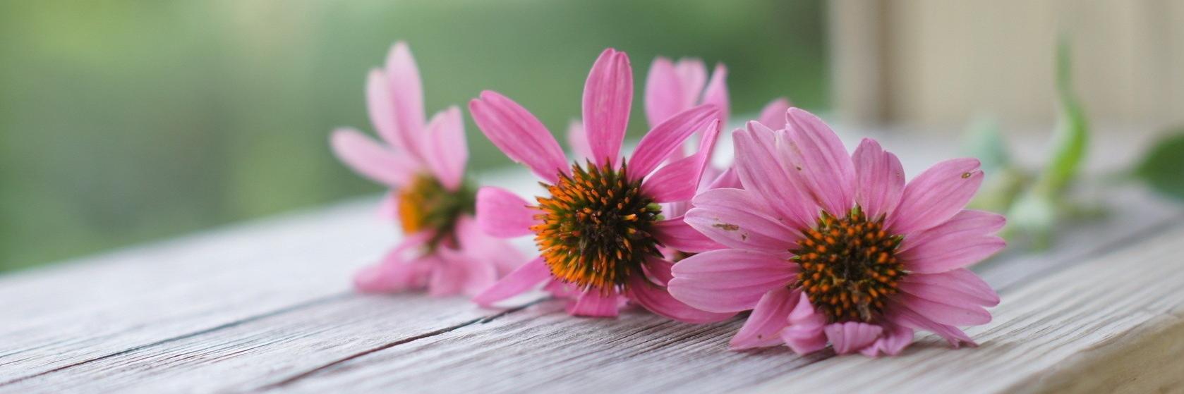 LisaLovMakeup87's profile banner image
