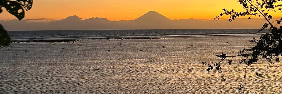 MFernandoF's profile banner image