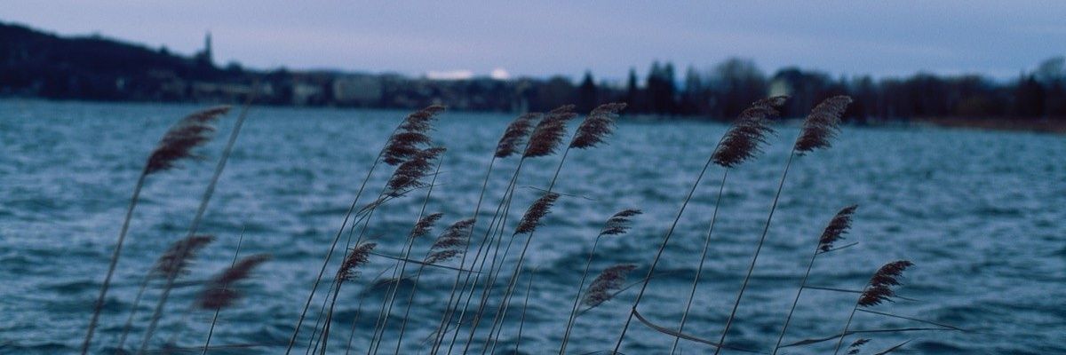 ldselimoglu's profile banner image
