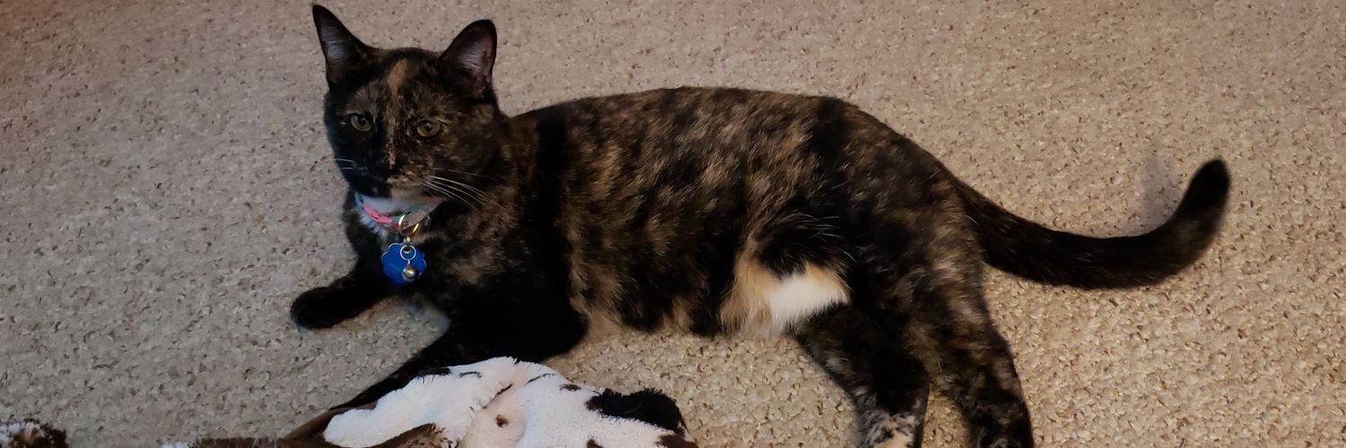 shrubbyprincess's profile banner image