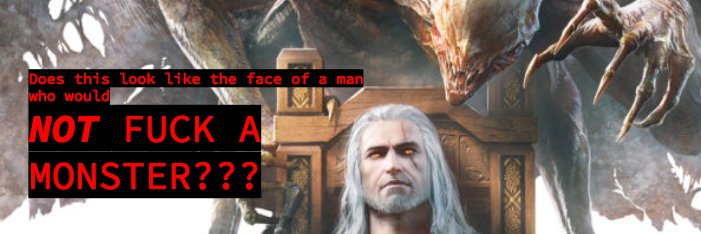 Shevaara_'s profile banner image