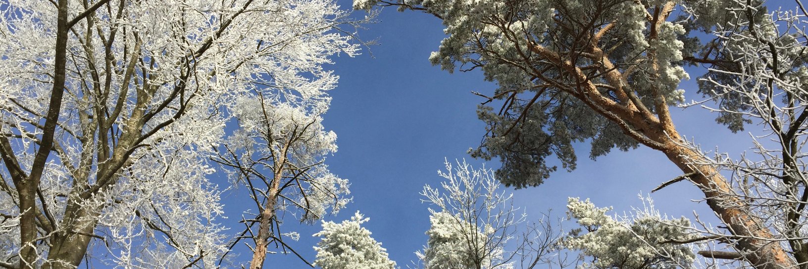 adkrobinson's profile banner image