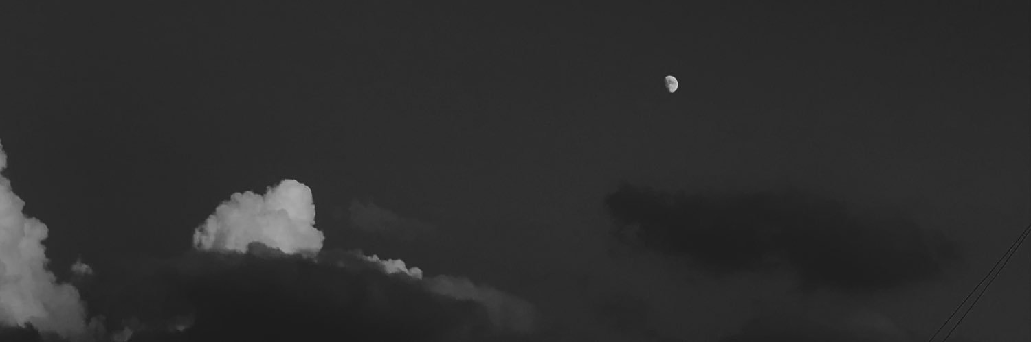 judytaleb's profile banner image