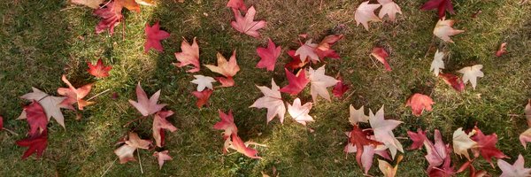 Tatenen Profile Banner